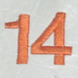 Embroidery {} Manchester Judaica