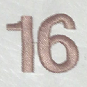 Embroidery {} Manchester Judaica