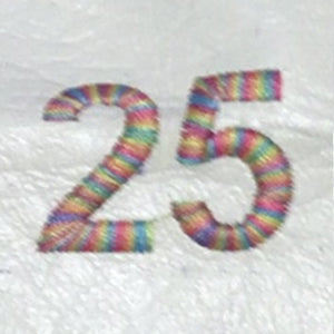 Embroidery {} Manchester Judaica