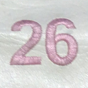 Embroidery {} Manchester Judaica