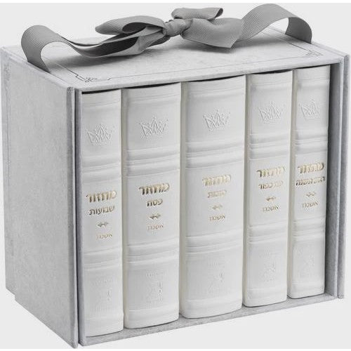 Machzor 5 Vol Slipcased Set Mid Size Ashkenaz Faux Leather - White {ספרים-תפילות-מחזורים} Manchester Judaica