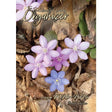 The Balabusta's Daily Organizer 2025-26 - Pocket Edition {Judaica-Home-Calendars} Manchester Judaica