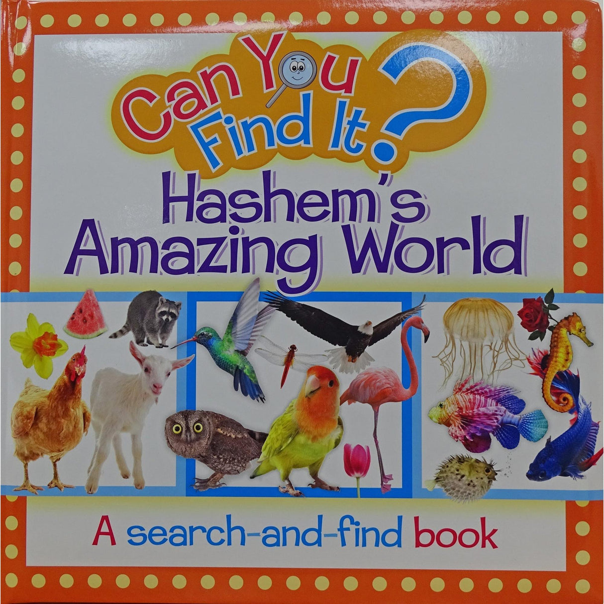 Can find it? Hashems amazing world {Books-Kids-Books for Children} Manchester Judaica