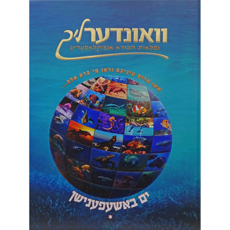 וואונדערליך #6 - ים באשפענישן רגיל - אידיש {Books-קינדער ביכער-אנציקלופדיה} Manchester Judaica