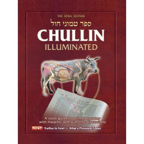 Chullin Illuminated {ספרים-גמרא תלמוד-גמרא} Manchester Judaica
