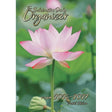 The Balabusta's Daily Organizer Pocket 2026/27 {Judaica-Home-Calendars} Manchester Judaica