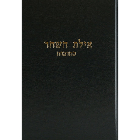 אילת השחר - ב''מ חלק ב