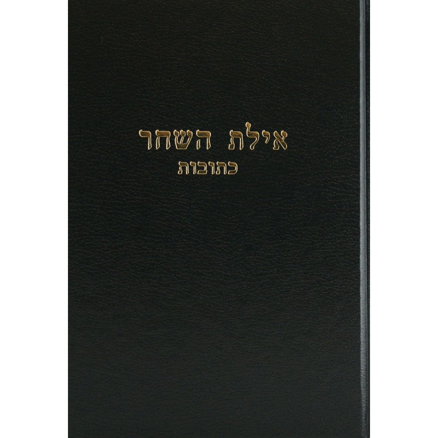 אילת השחר - יבמות/סנהדרין