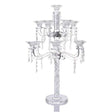 Crystal Candalabra 11 branch Judaica-Lecht-Candlesticks, Candelabra 12161 Manchester Judaica