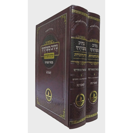 נתיב מצותיך תורת החסידות ב' כרכים