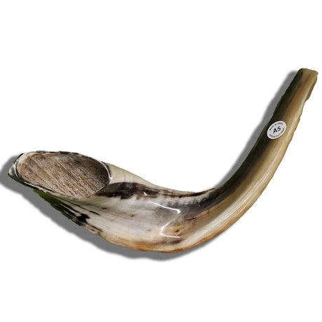 Shofar Ram A5 - Badatz Hechsher