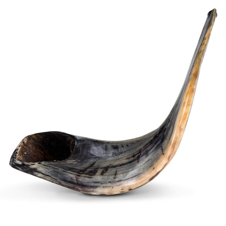 Shofar Ram AAA7 - Badatz Hechsher