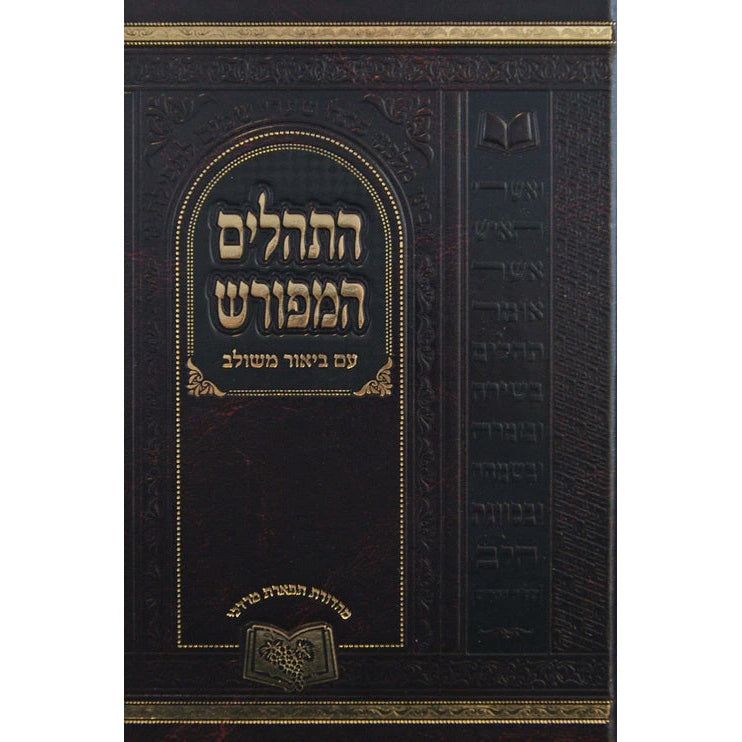 תהלים המפורש ע"ב משולב בלי מבוא 17 ס"מ ספרים-תפילות-תהלים 142457 Manchester Judaica